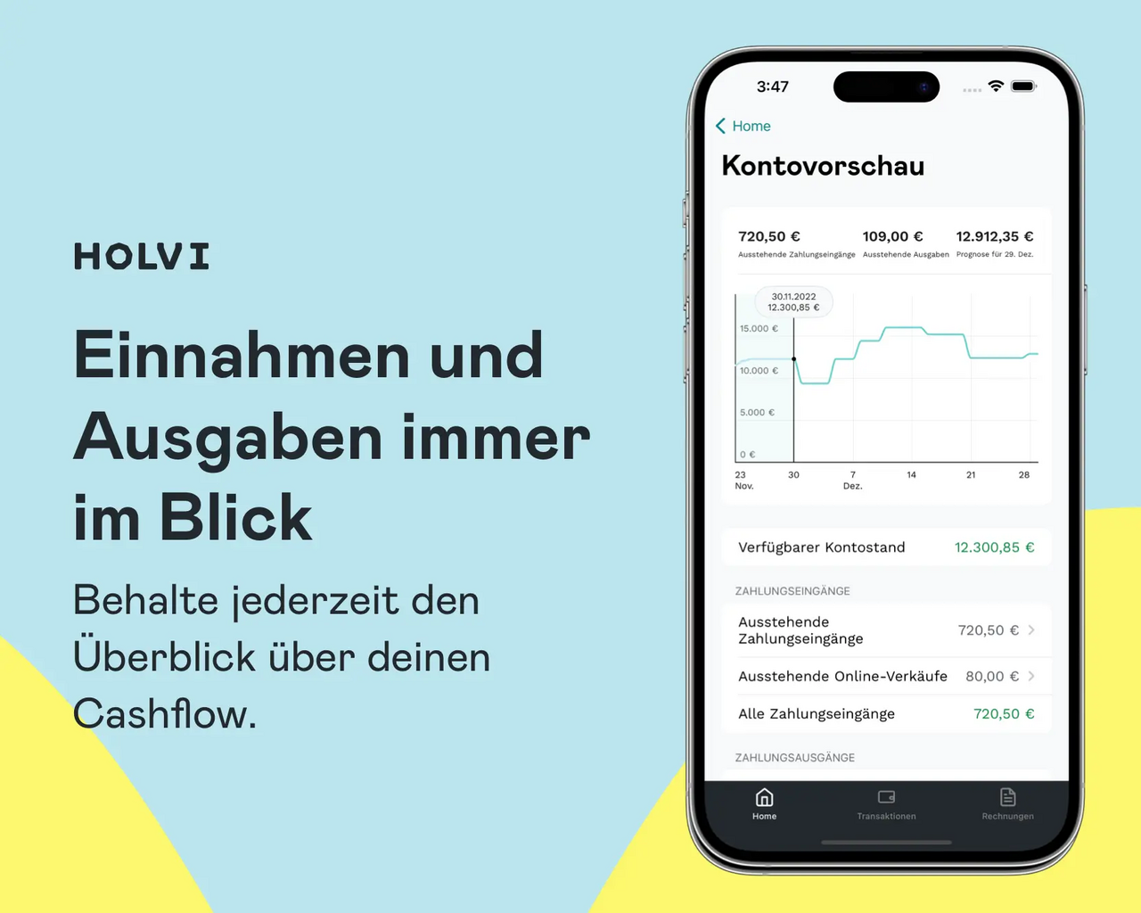 Holvi Geschäftskonto screenshot