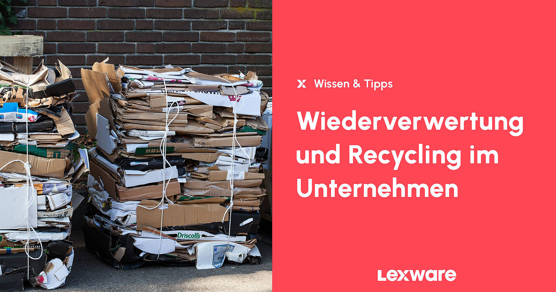 2x Recycling-Mülleimer Aus Weißem Polypropylen – Je 20 Liter, Mit Innenbehälter, Insgesamt 40 Liter