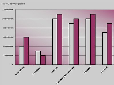 Ist- und Plankosten