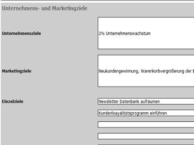 Werbemaßnahmenplaner - Zieldefinition Detail